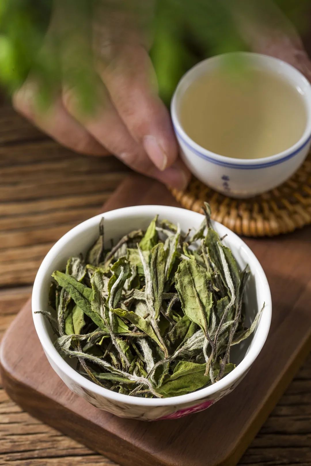 中秋来了~愿你看到TA便想起我