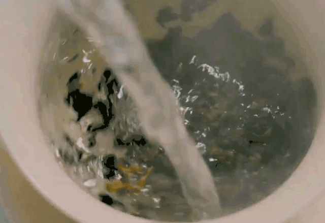 3.gif